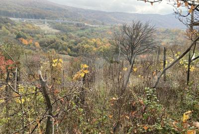 Teren extravilan 787 mp in zona Somosoldal - 1