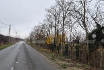 Teren de 2500 mp, în Sud
