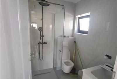 Duplex P+M, 400mp teren, Sanandrei - 10