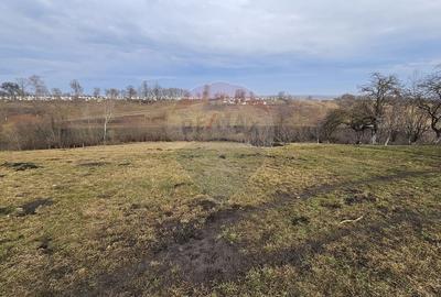 Teren 2,971mp intravilan Stroiesti-Suceava-Bucovina Teren 2,971mp intravilan Stroiesti-Suceava-Bucovina - 6