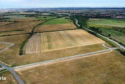 Spațiu comercial, în Albina - 9