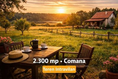 Teren Construcții intravilan de 2300 mp, în Comana - 7