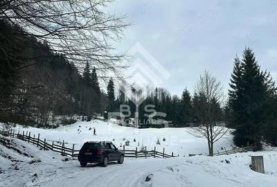 Teren de 6000 mp, în Sud - 6