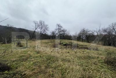 Teren 3000 mp + 2 case de vanzare-Ca?eiu - 5