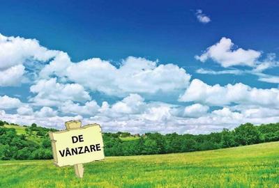 Loc. Recea (zona Romanita) - teren intravilan, 25 ari - 1