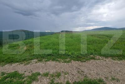 Teren pentru casa intravilan , 800 mp deschidere la drum Bod - 2