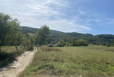 Casa de vanzare+teren - 7