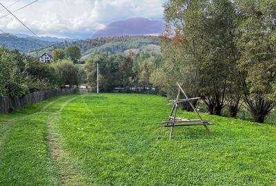 Teren 6,135mp Moieciu de Jos / Strada Principala - 4