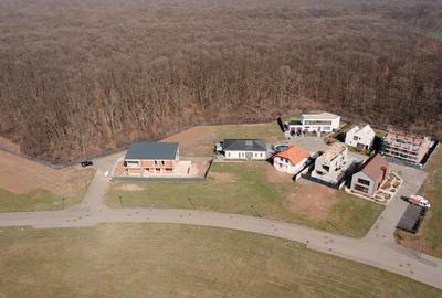 Teren de vis în Dumbrava Vlăsiei – 1290 mp, la marginea pădurii mature - 4