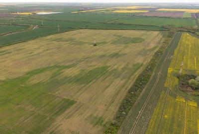 Teren agricol extravilan de 44700 mp, în Exterior Vest - 10