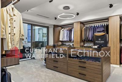 Vila moderna exclusivista I Vedere directa la Lacul Floreasca - 16