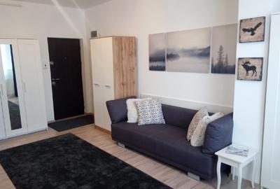 Garsonieră semidecomandată, mobilată în Dristor - 1