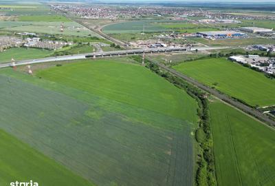 Teren de 28089 mp, în Micălaca - 14