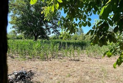 Casă cu 4 camere cu Teren 3000 Mp în Central