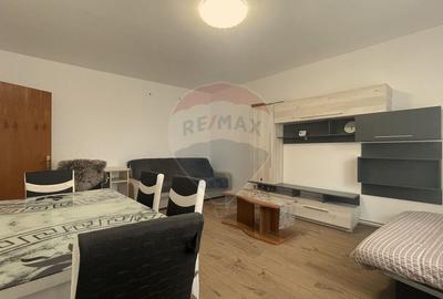 Apartament cu 3 camere decomandat, mobilat în Gării - 5