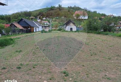 Teren de 1160 mp, în Dârlos - 6