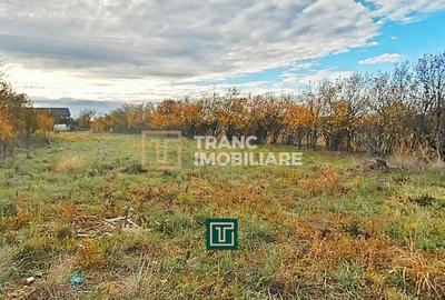 Teren intravilan de 1199 mp, în Aluniș - 5