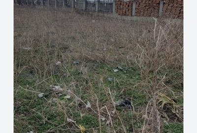 Casă cu 2 camere cu Teren 871 Mp în Aviatorilor - 4