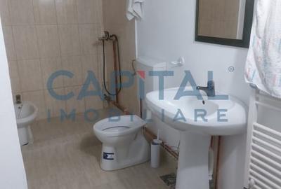 Apartament cu 2 camere semidecomandat, mobilat în Gruia - 8