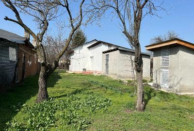 Vand Casa Crivina Jud Giurgiu - 3