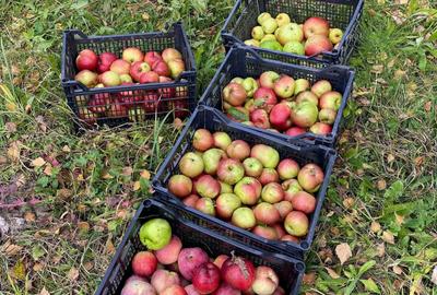 Spațiu comercial, în Podul Vadului - 1