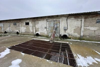 Spațiu industrial, în Ceamurlia de Jos - 19