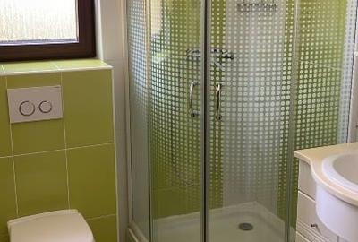 Casa de vanzare in IZVIN jud. Timis - 12