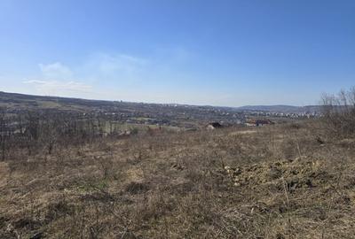 Teren Construcții intravilan de 2900 mp, în Borhanci - 2