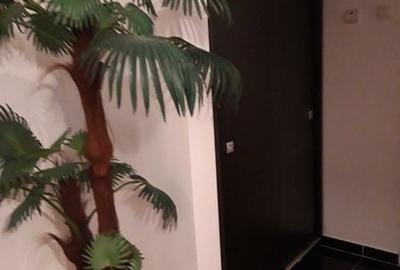 Apartament cu 2 camere în Central - 6
