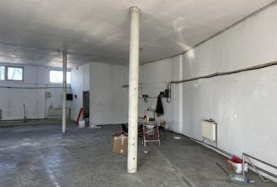 Spațiu comercial, de 500 mp, în Buziașului