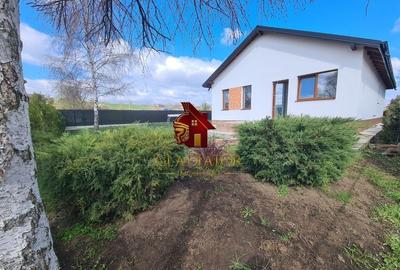 Casa plan parter deosebita, Lunca Cetatuii Ciurea, la asfalt, zona vis - 10