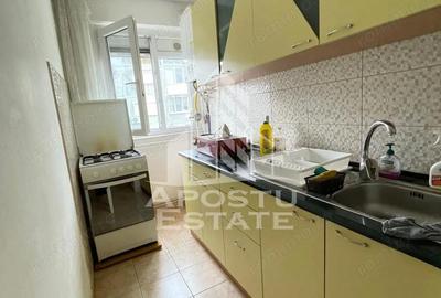 Apartament cu 2 camere semidecomandat, mobilat în Iosefin - 7