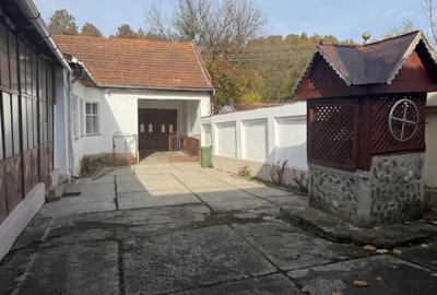 Casă cu 4 camere în Zolt - 5