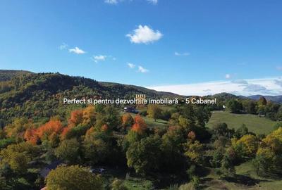 Teren intravilan 3500 mp Zona turistica Cacica Bucovina! - 6
