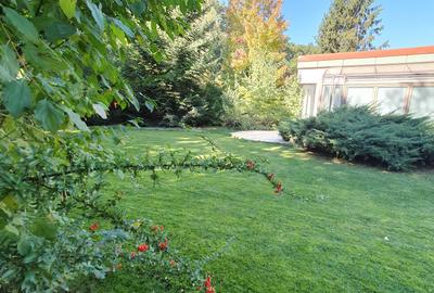 Vila S+P+1+M 650mp Paradisul Verde libera Vezi VIDEO - 8