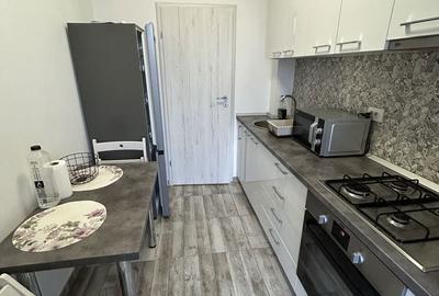 Garsonieră decomandată în Valea Ialomiței - 1