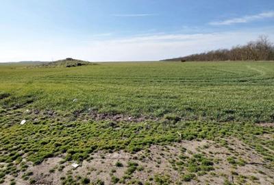 Spațiu comercial, în Central - 8