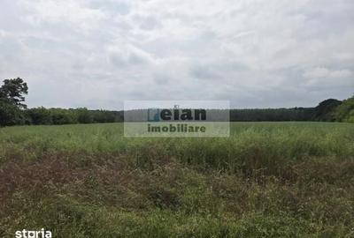 Teren de 700 mp, în Ciolpani - 2