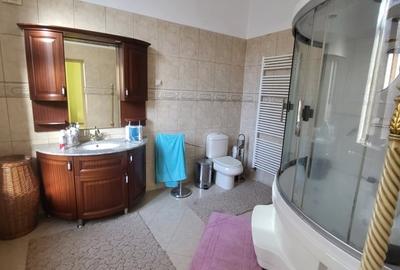 Vila boiereasca, superba, strada, linistita, nelipita de vreun alt imobil Vila boiereasca, superba, strada, linistita, nelipita de vreun alt imobil - 9