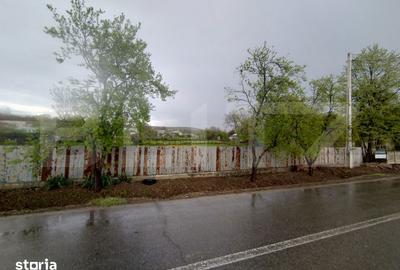 Teren de 1685 mp, în Almăj