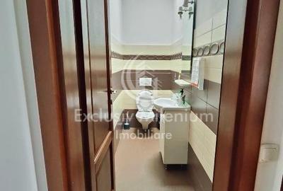 Spatiu Birouri Piata Victoriei - Capitale - 14