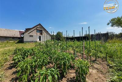 Casă individuală cu 5 camere cu Canalizare în Fotoș - 10