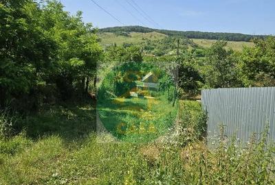 Casă cu 3 camere cu Teren 1900 Mp în Ion Creangă - 3