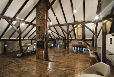 Vila cu arhitectura Cismigiu - 12