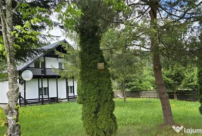 Casă cu 7 camere cu Teren 2000 Mp în Mălini - 8