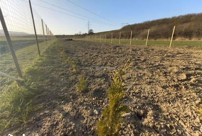 Teren de 2262 mp, în Central - 7