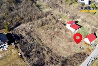FILM!Teren intravilan, construibil in Valea Iubirii pe 500 m - 3