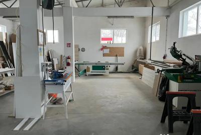 Spațiu comercial, de 460 mp, în Giubega - 2