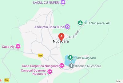 Teren extravilan de 10076 mp, în Nucșoara