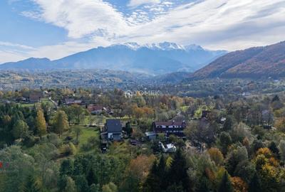 Teren Construcții intravilan de 37723 mp, în Tohănița - 2